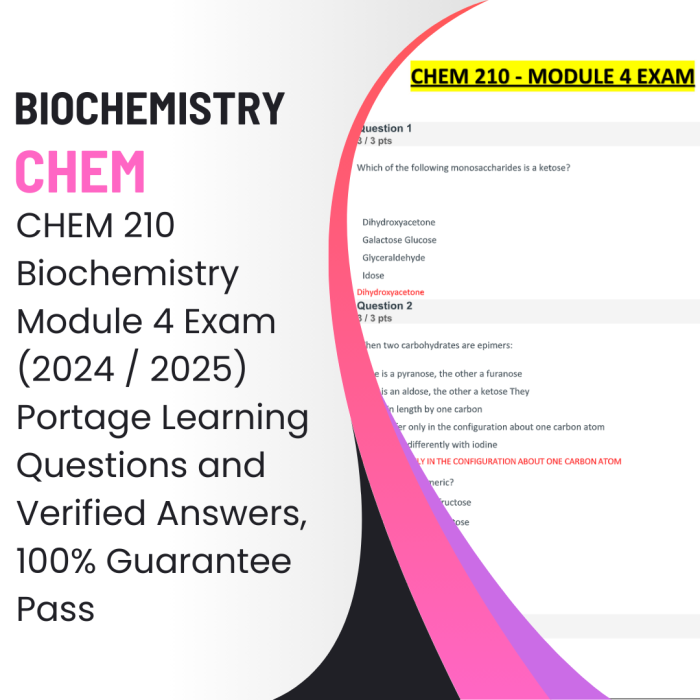 CHEM 210 Biochemistry Module 4 Exam (2024 / 2025) Portage Learning Questions and Verified Answers, 100% Guarantee Pass-Pass Test Bank