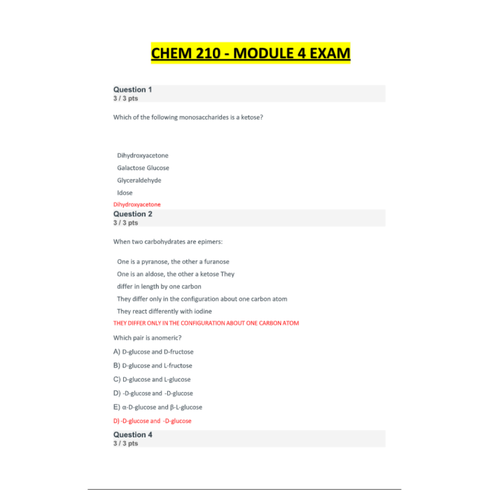 CHEM 210 Biochemistry Module 4 Exam (2024 / 2025) Portage Learning Questions and Verified Answers, 100% Guarantee Pass-Pass Test Bank