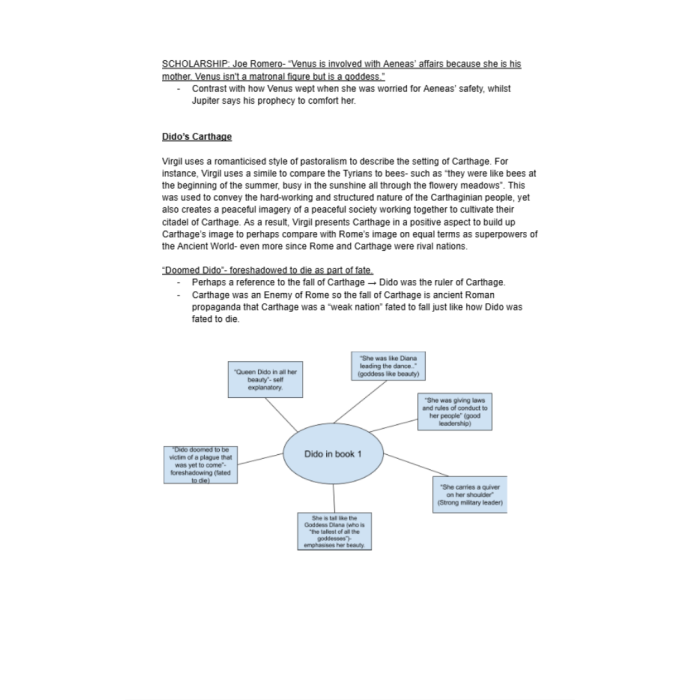 Summary A Level OCR Classical Civilisation Notes of Virgil’s Aeneid with Scholarship Quotes-Pass Test Bank