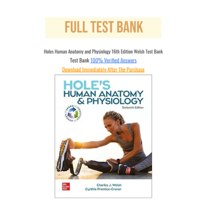 Test Bank For Hole’s Human Anatomy & Physiology 16th Edition By Welsh-Pass Test Bank