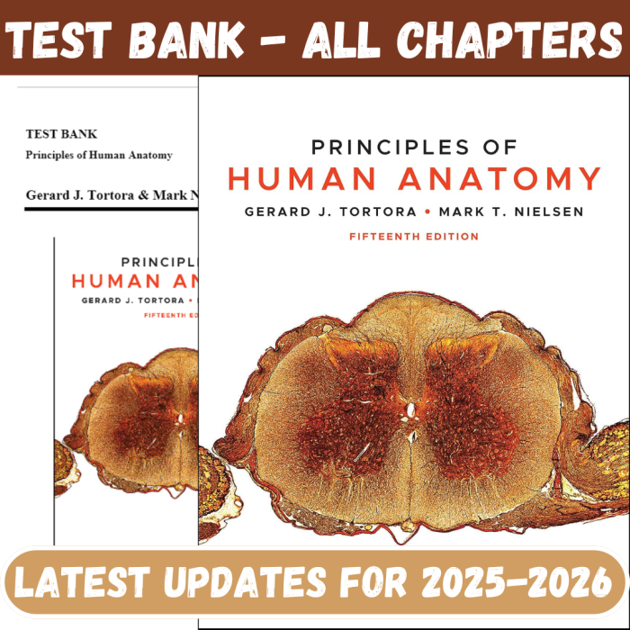 Test Bank for Principles of Human Anatomy, Tortora, 15th Edition By Tortora-Pass Test Bank