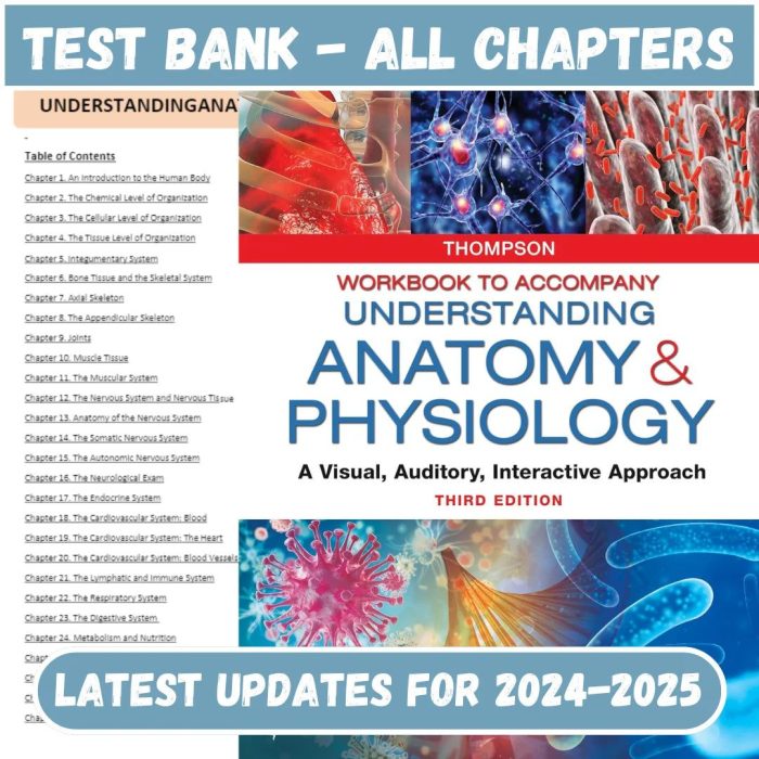 Test Bank for Understanding Anatomy & Physiology A Visual, Auditory, Interactive Approach 3rd Edition by Thompso-Pass Test Bank