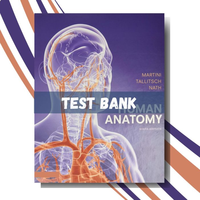 Test bank for Human Anatomy 9th Edition, (By Martini)-Pass Test Bank